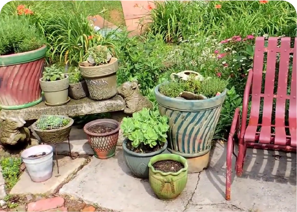 Abandoned planters filled with greenery
