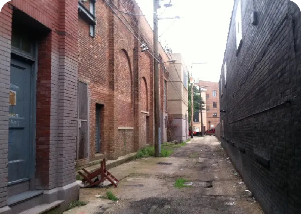 Plants growing in an alleyway