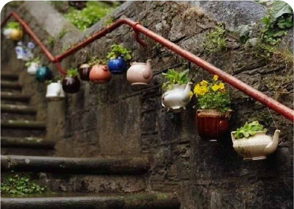 Plants lining an old stairway
