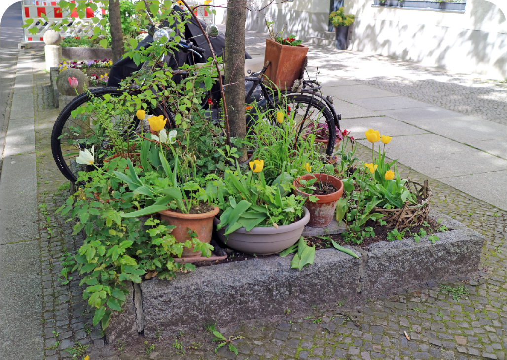 Tree bed garden